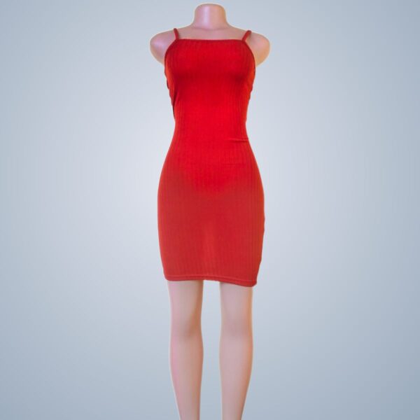 Red bodycon dress tied at the back. Dresses - Front View