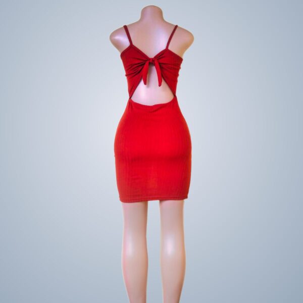 Red bodycon dress tied at the back. Dresses - Rear View