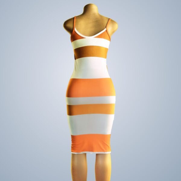 Orand and White Stripe Dress - rear view